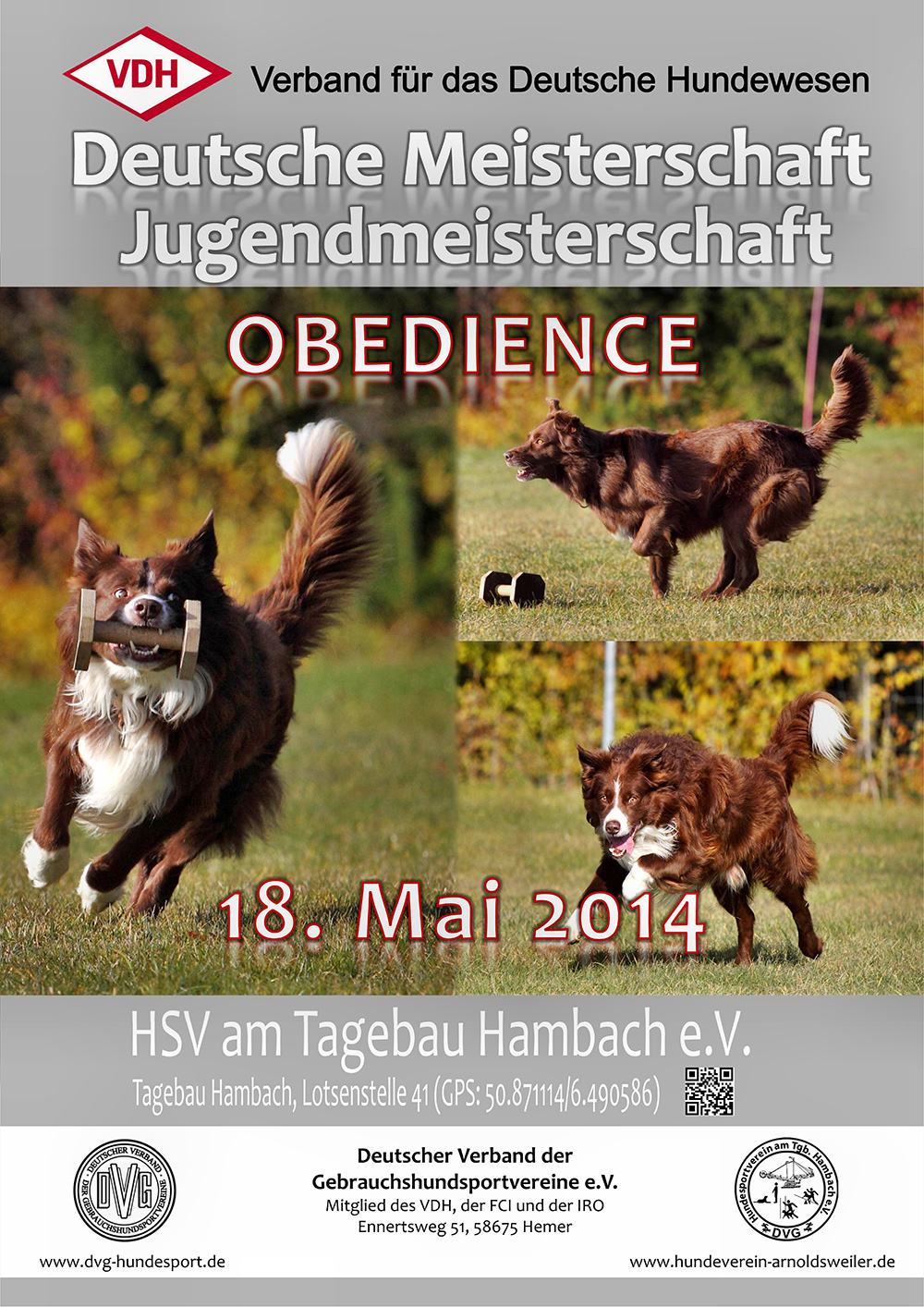 Plakat VDH DM Obedience 2014